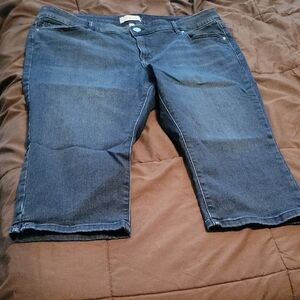 Lane Bryant Dark Blue Ankle Jeans